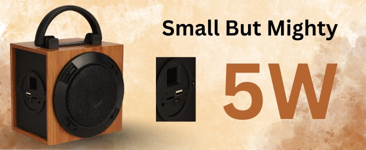 Portable Bluetooth Speaker 5W